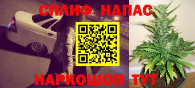 прущие крисы Камышлов