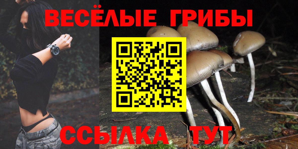 Галлюциногенные грибы Cubensis  Галлюциногенные грибы Cubensis  Вход с VPN  Петровск 